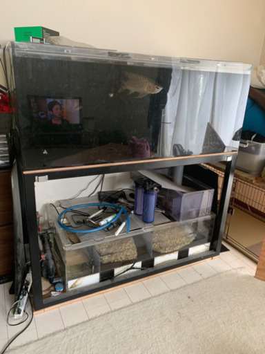 水槽150㎝  交渉中