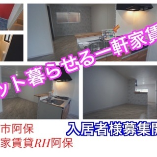 【初期費用0円キャンペーン中】【駅徒歩10分】松原市阿保ペットと...