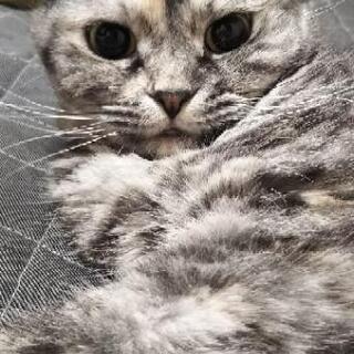 女性のお友達がほしい☆同性のみ募集♪
