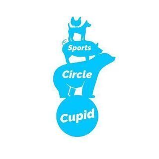 スポーツサークルメンバー大募集！