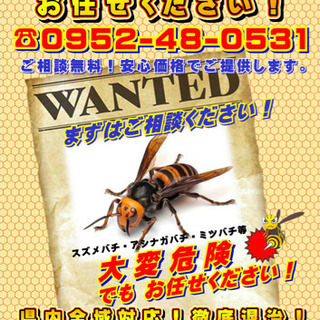 佐賀の蜂の巣駆除お任せ下さい。