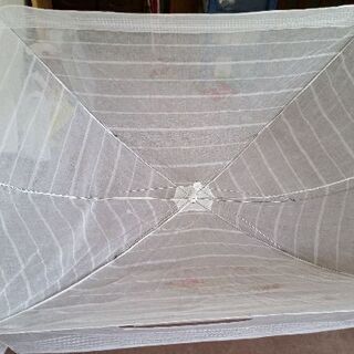 赤ちゃん蚊帳の画像
