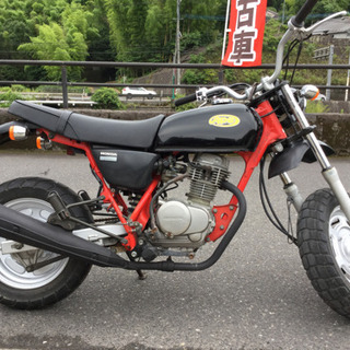 HONDA Ape 100の画像