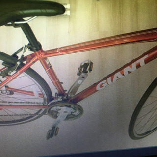 つばさキャット羽川翼サインBR ビルディバイド psa10