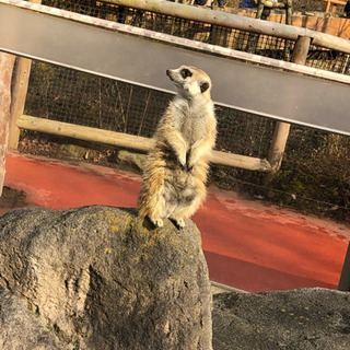 友達募集