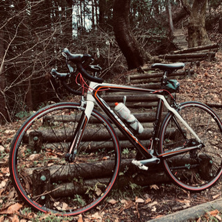 オルベアフルカーボン