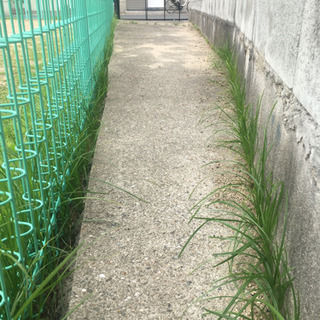 最終大幅値下げ 大阪府茨木市 東中条町土地 - 土地販売/土地売買