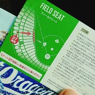 今日野球見に行きませんかー？