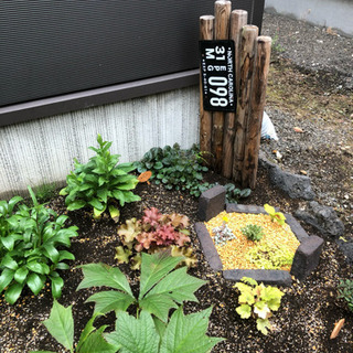 小さな造園屋さん。Rize Garden🦚