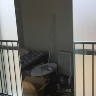 【先着 1名様】鏡 (天井つっぱり)