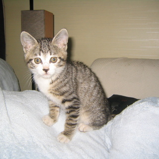 ３月６日生まれの　メスです
