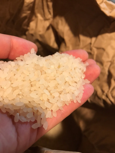 農家直送！ ゆめつくし ★27キロ