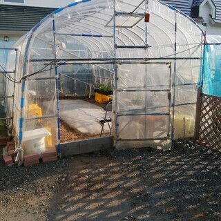 ⚠️激レアタイガーマスクわるものレスラーザ・ブラックバイソンミドル