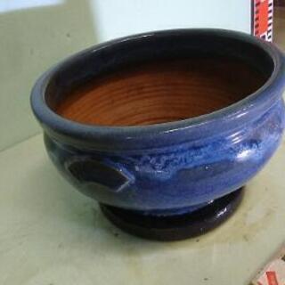 大きい　火鉢　メダカ　