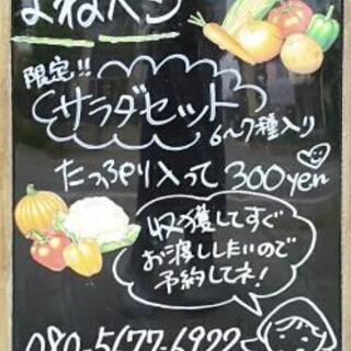 受付終了しました。【よねベジ】の画像