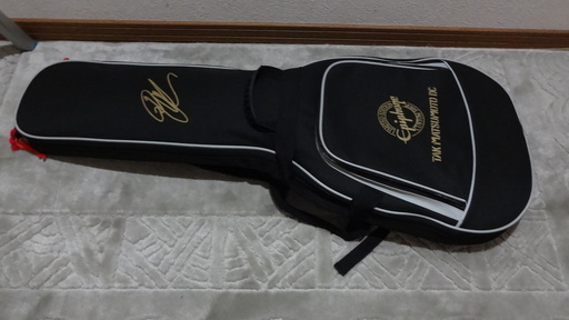 薄型レスポール・タイプ　(他のサイトで買い手がつきましたので終了させていただきます　ありがとうございました）