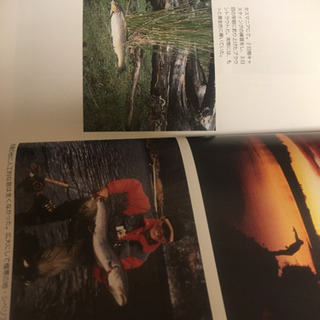 釣り本  の画像
