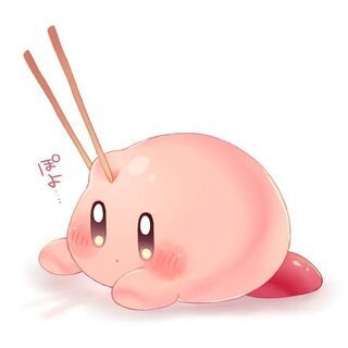 散歩など好きな人いますか？(｡･ө･｡)