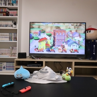 【家賃１ケ月無料！】ゲーマーのゲーマーによるゲーマーのためのシェアハウス！ゲーミングシェアハウス亀戸です。 - 江東区