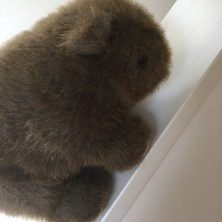 ウォンバットのぬいぐるみ