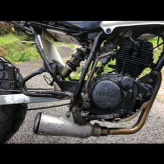 tw250 これからの時期に^_^🌟の画像