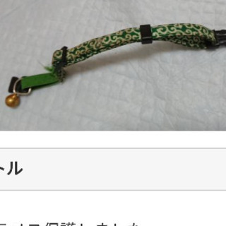 里親募集