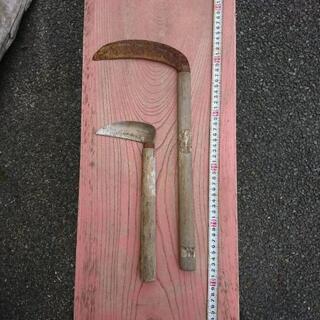 鎌 草刈り