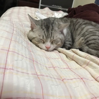 急募！！！！！