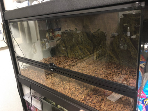 GEX 爬虫類 ケージ 9045 ライトドーム18cm