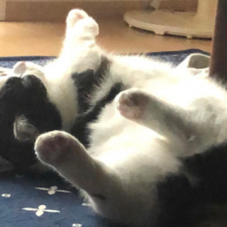 急募