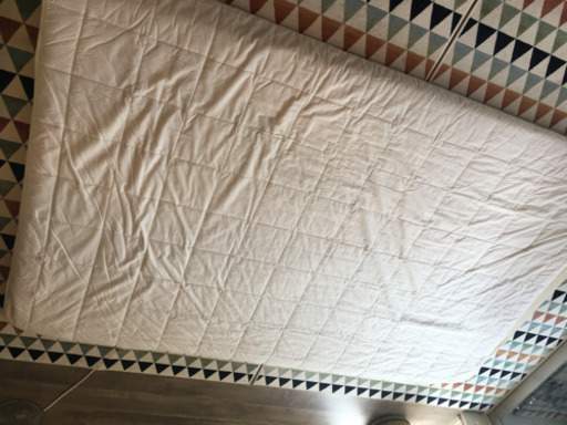 【【値下げ】プロ用マッサージマット《サバイDX》