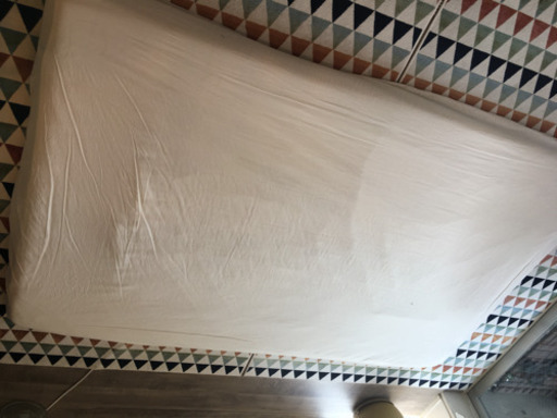 【【値下げ】プロ用マッサージマット《サバイDX》