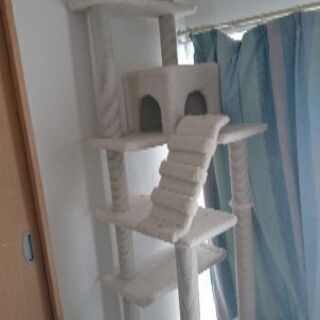 キャットタワー取りに来てくれる方にあげます