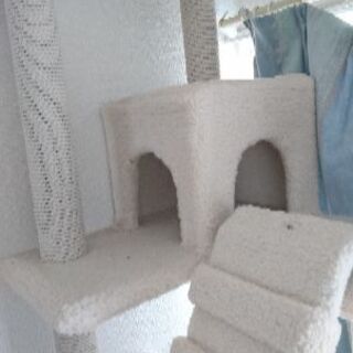 キャットタワー取りに来てくれる方にあげますの画像