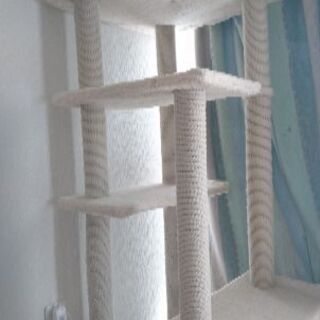 キャットタワー取りに来てくれる方にあげますの画像