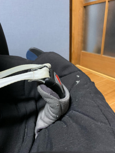 マキシコシペブル