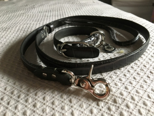 Cole Haan 小型犬用首輪・リードセット 本革 未使用