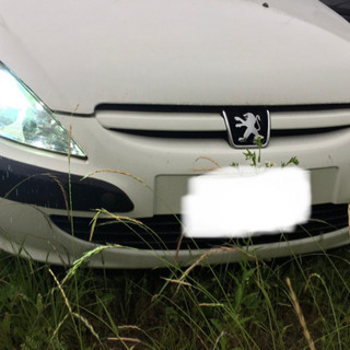 プジョー PEUGEOT 307 の画像