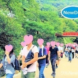 🌼楽しいハイキングコン in 鎌倉アルプス！🍃アウトドア登山イベント開催中！🌺 - 鎌倉市