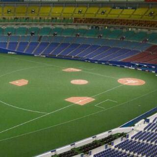 【無料】6/22(土)ナゴヤドーム 中日ドラゴンズ対北海道日本ハ...