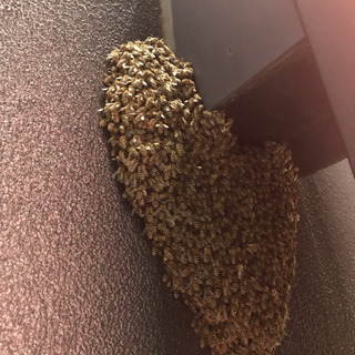 生活救急サービス　スタッフ募集の画像