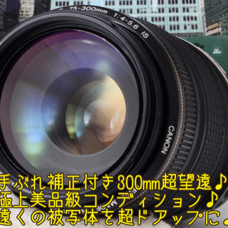 ★超極上★手ブレ補正超望遠★キャノン EF 75-300mm F4-5.6 IS ゆうパック代引き発送！送料、代引き手数料無料！