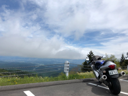 スズキ GSX1300R 隼 05年式 カナダ仕様 交換可