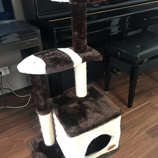 キャットタワーの画像