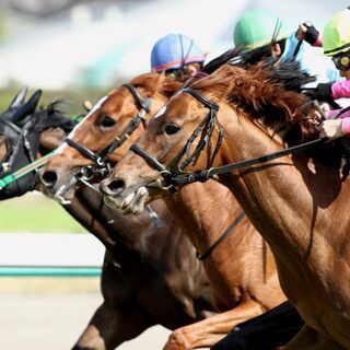 有名競馬ユーチューバーが主催！馬券的中率を上げ、競馬で利益を上げ...