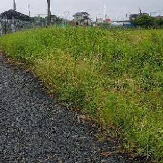 草刈り、剪定、伐採作業いたします。