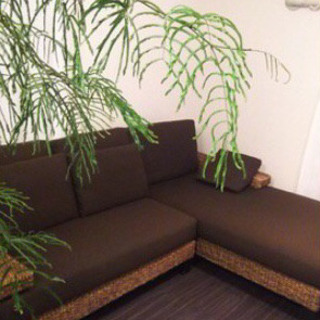 😳定価27万😳✨💗美品 ①ウォーターヒヤシンスソファー💗✨💡PERFORMAX正規品💡の画像