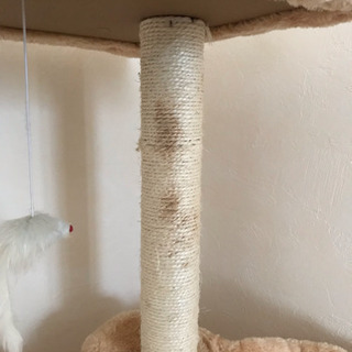 キャットタワー 美品ですの画像