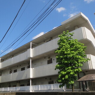 インスタ映えするポップなヴィヴィッドカラーの東南の角部屋♪免震建物！