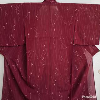 正絹☆絽 小紋 ワインレッドの画像
